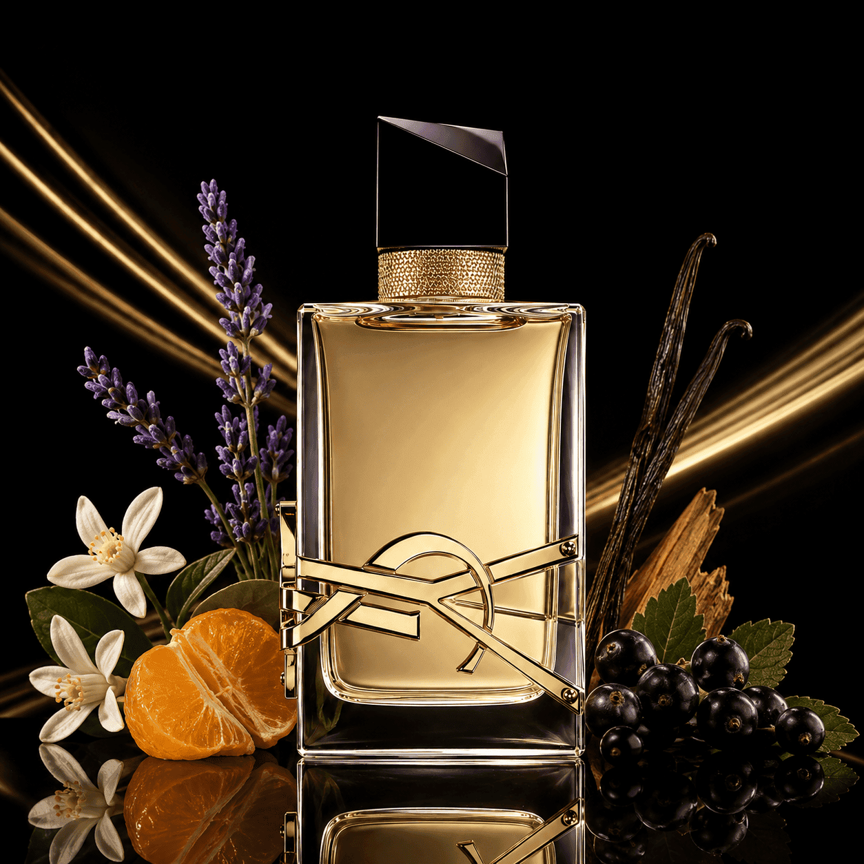 Libre da marca Yves Saint Laurent - Perfume Original Senhorita Butique